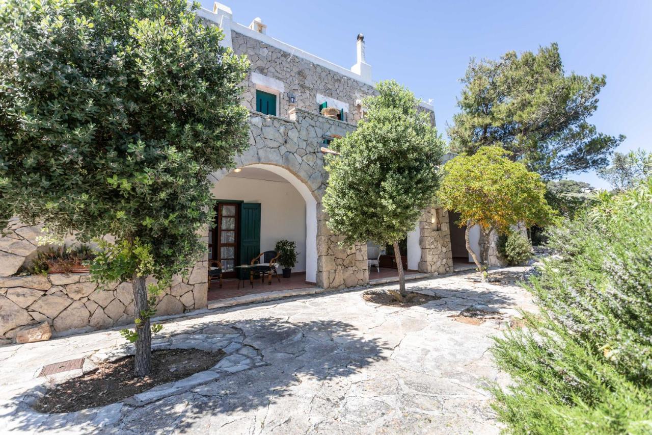 Il Posto Delle Fragole Bed & Breakfast Castro  Eksteriør bilde